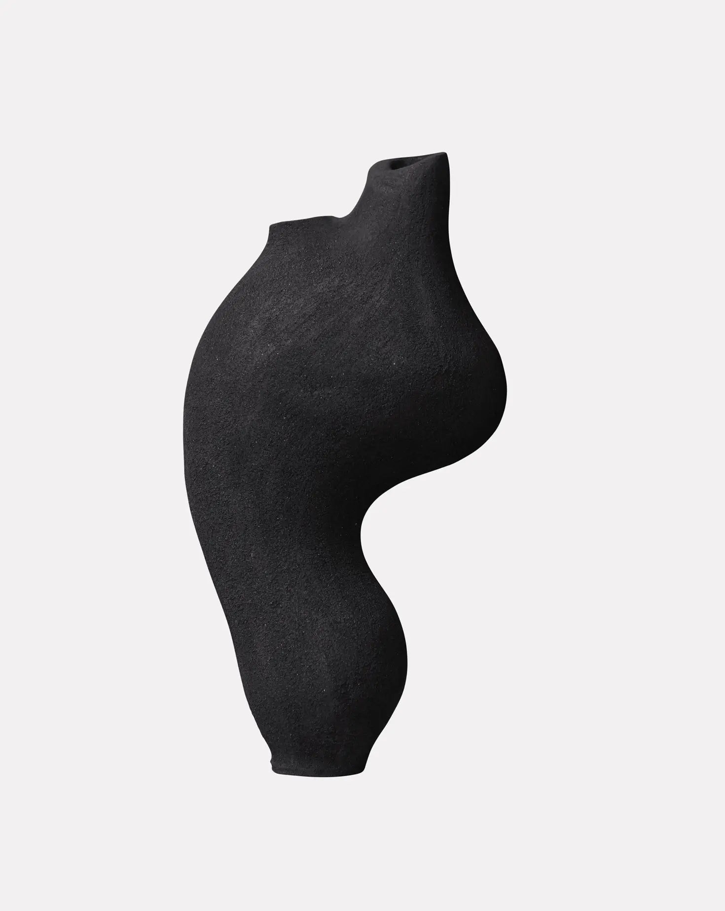 Pleomorph Black Sculptural Vase Abid Javed