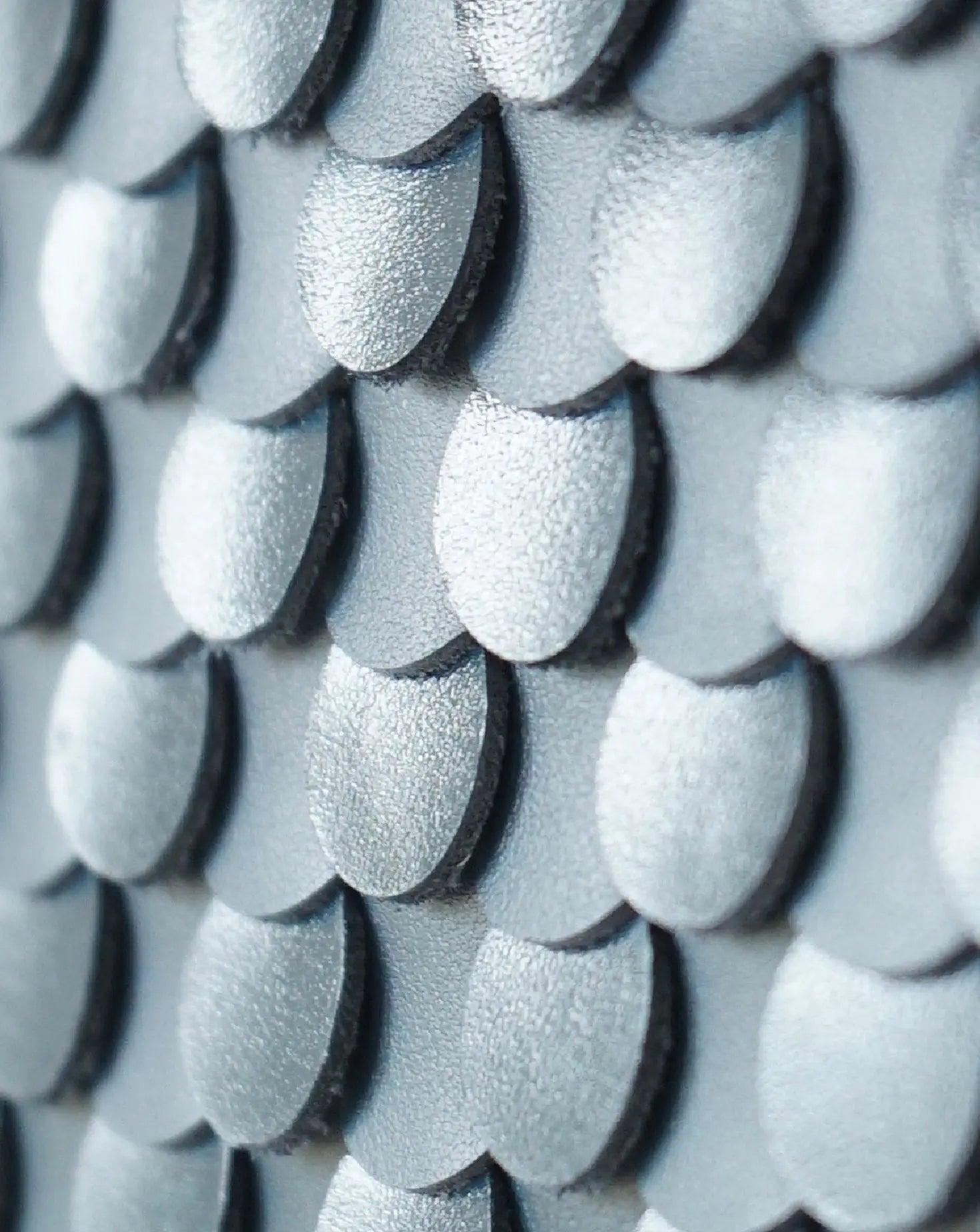 Blue Plumage Wall Art Louise Heighes