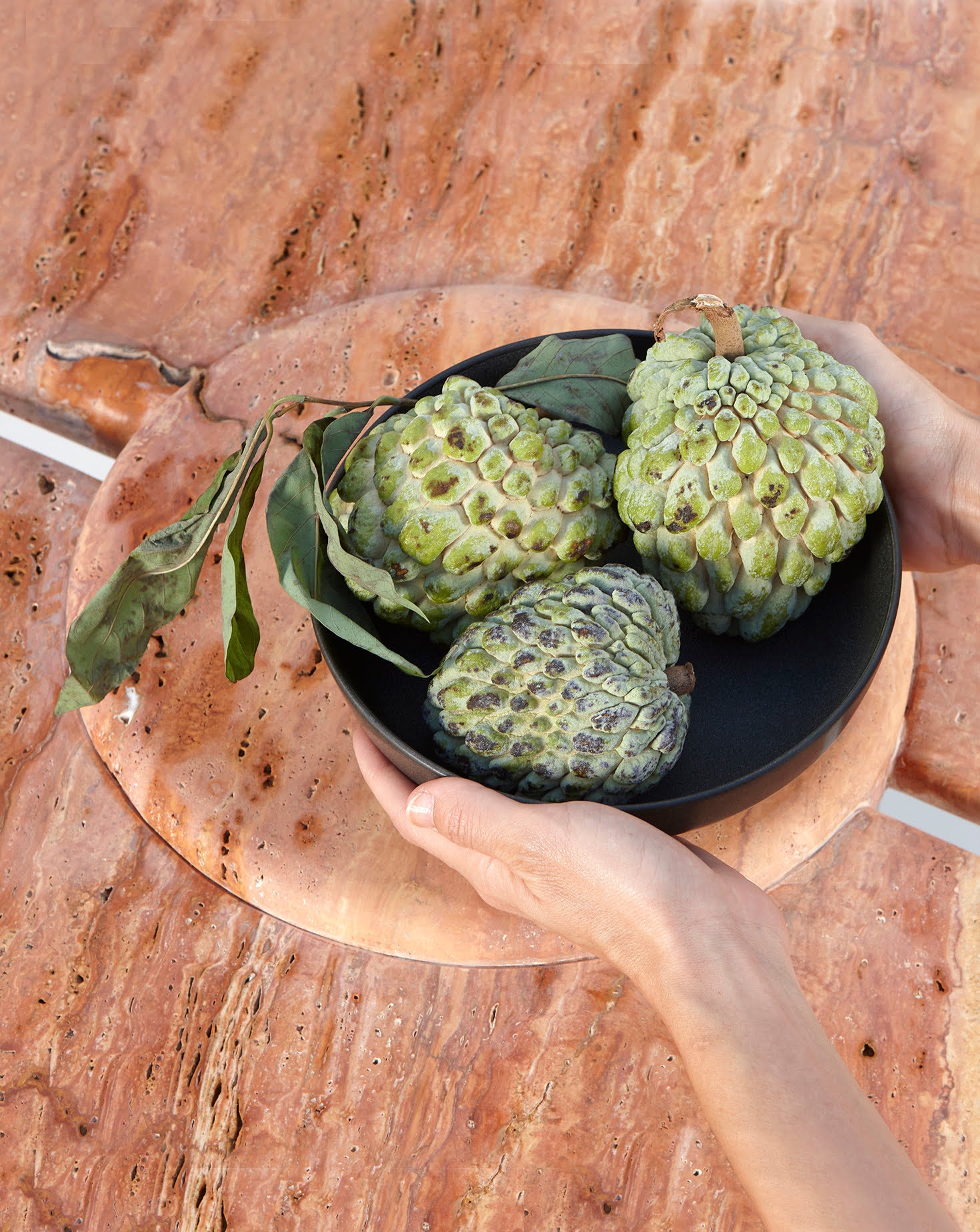Sculptural Travetino Rosso Mistral Dining Table
