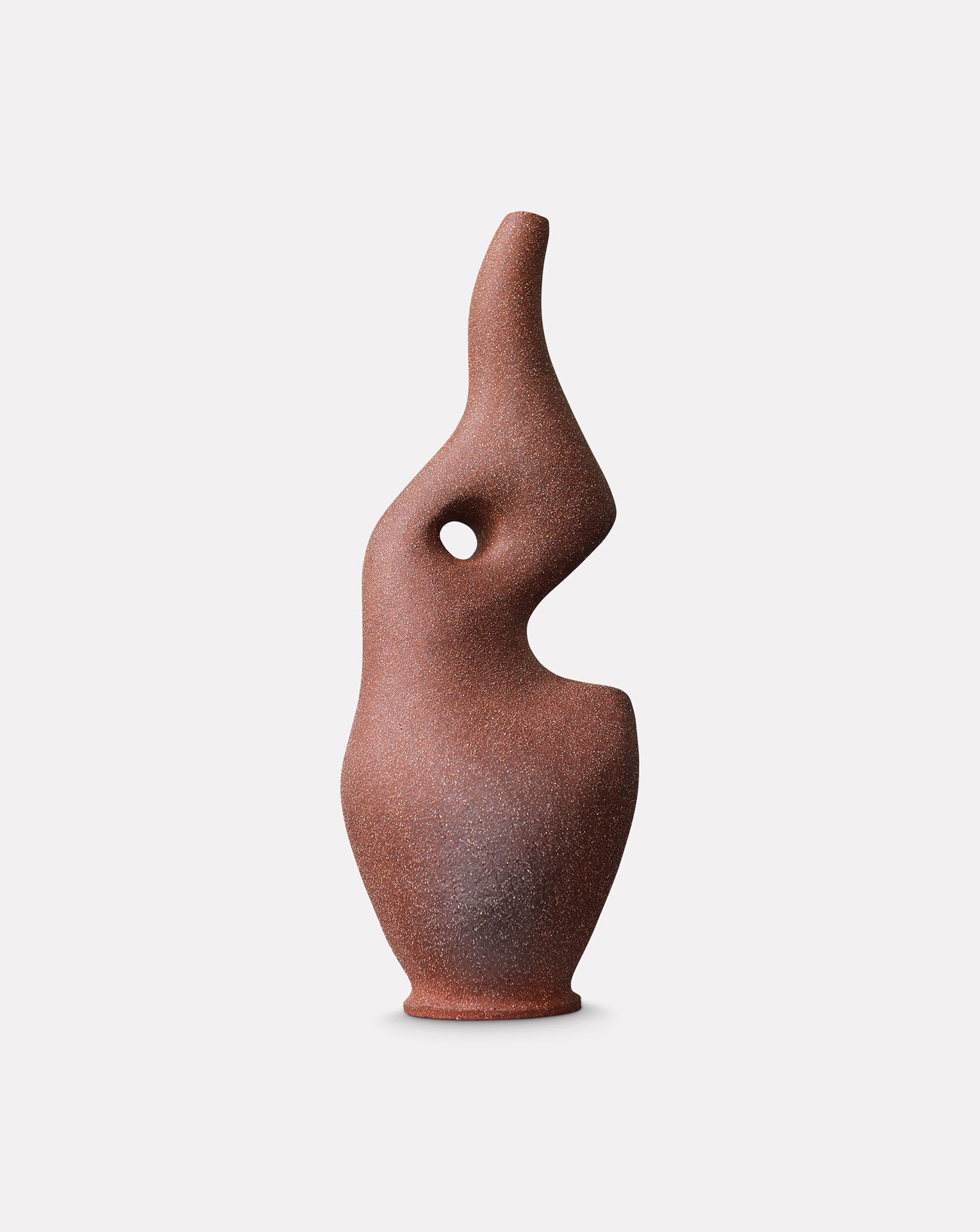 Pleomorph Brown Sculptural Vase