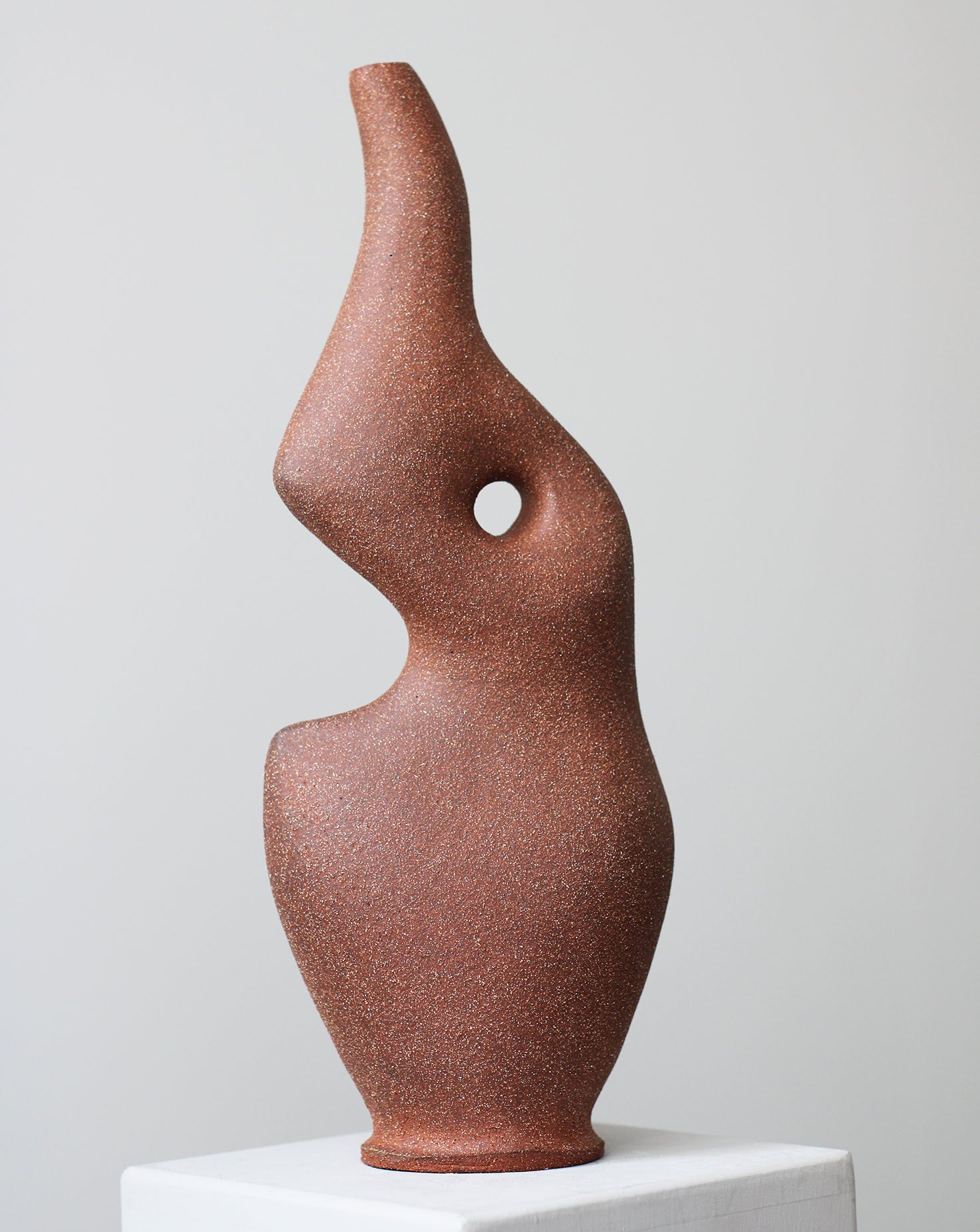 Pleomorph Brown Sculptural Vase