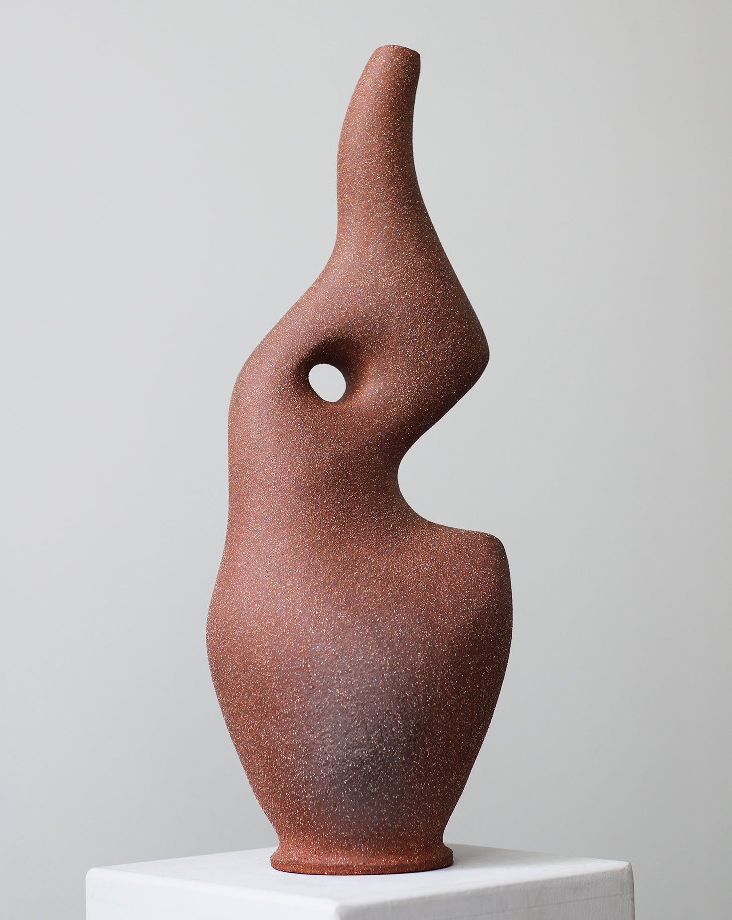 Pleomorph Brown Sculptural Vase