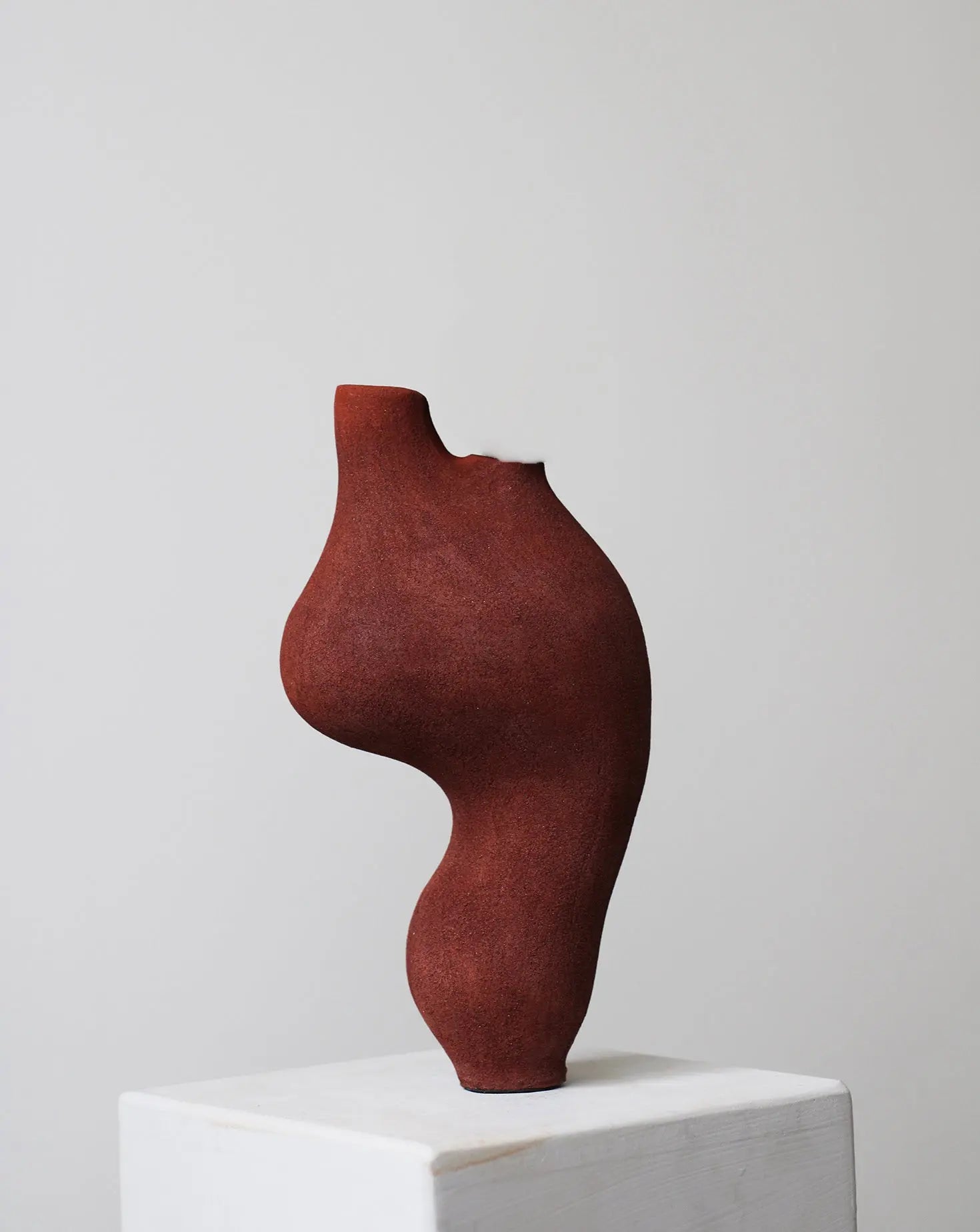 Pleomorph Red Sculptural Vase Abid Javed