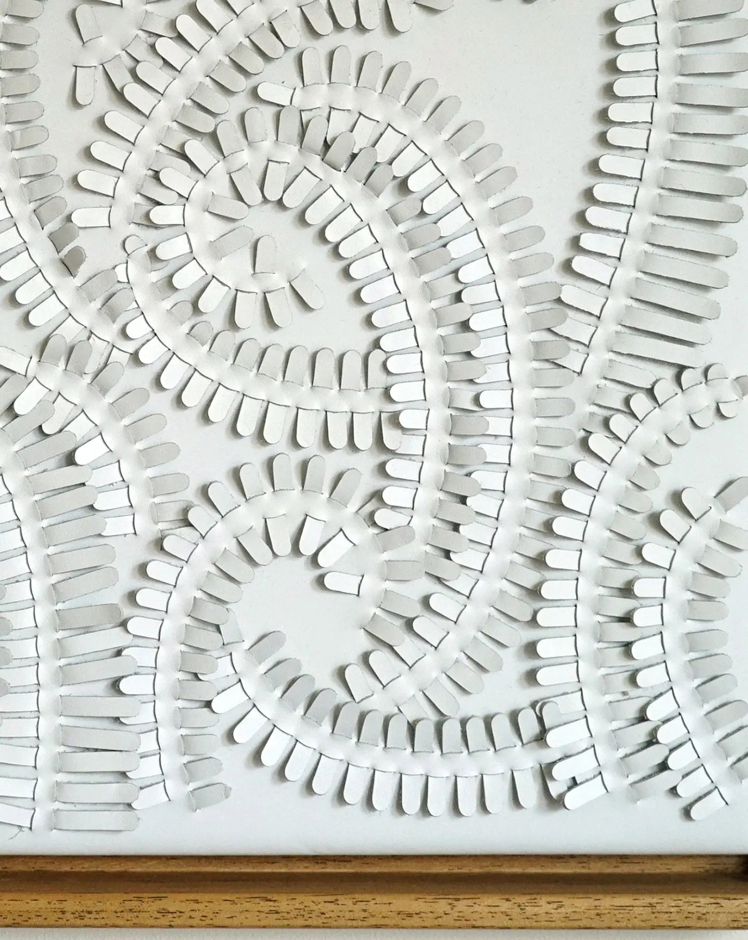 White Fern Wall Art Louise Heighes