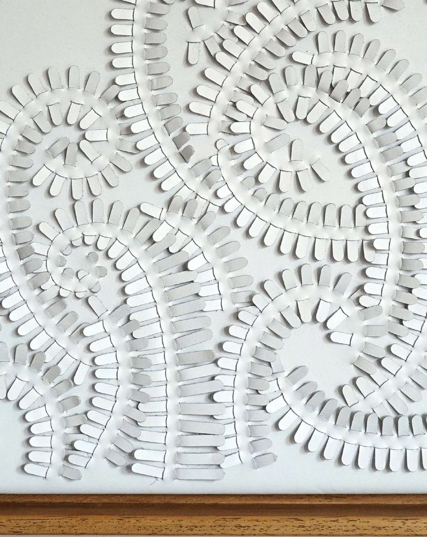 White Fern Wall Art Louise Heighes