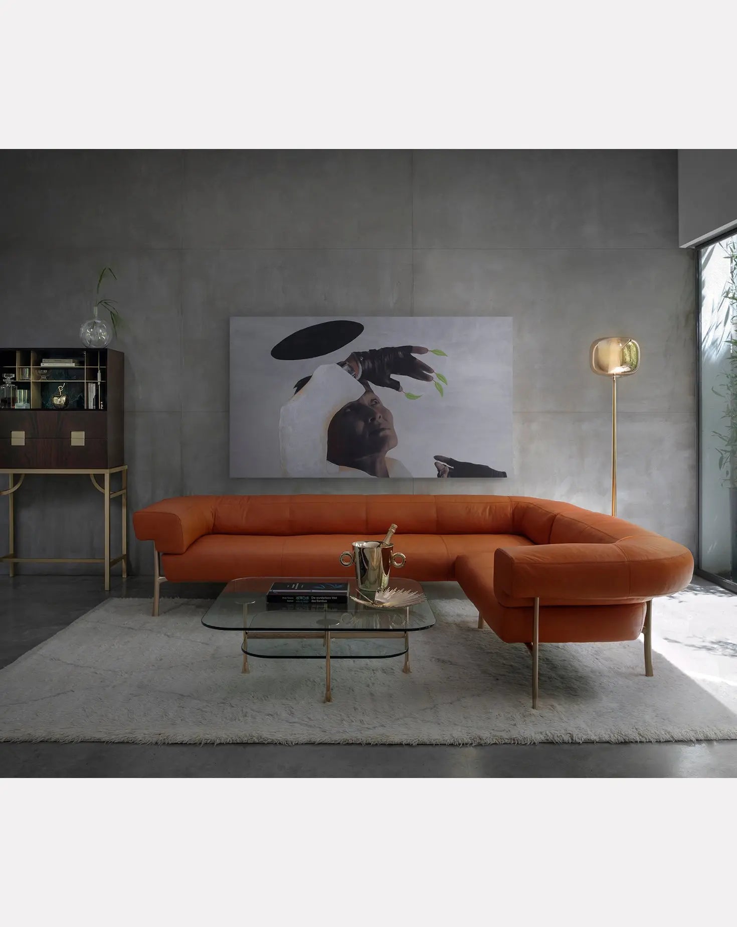 Paolo Rizzatto Zuan Mahogany Wood Large Cabinet Ghidini 1961