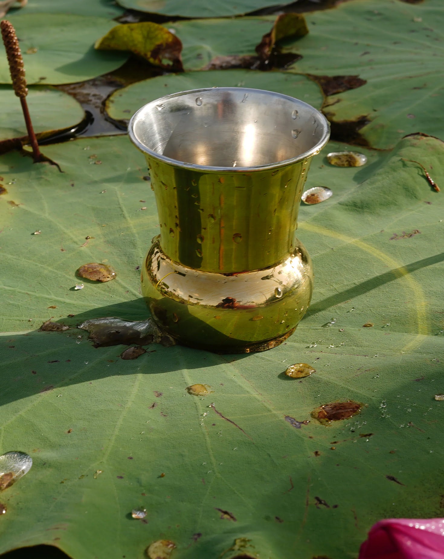 Crescent Brass Tumbler Set of 2