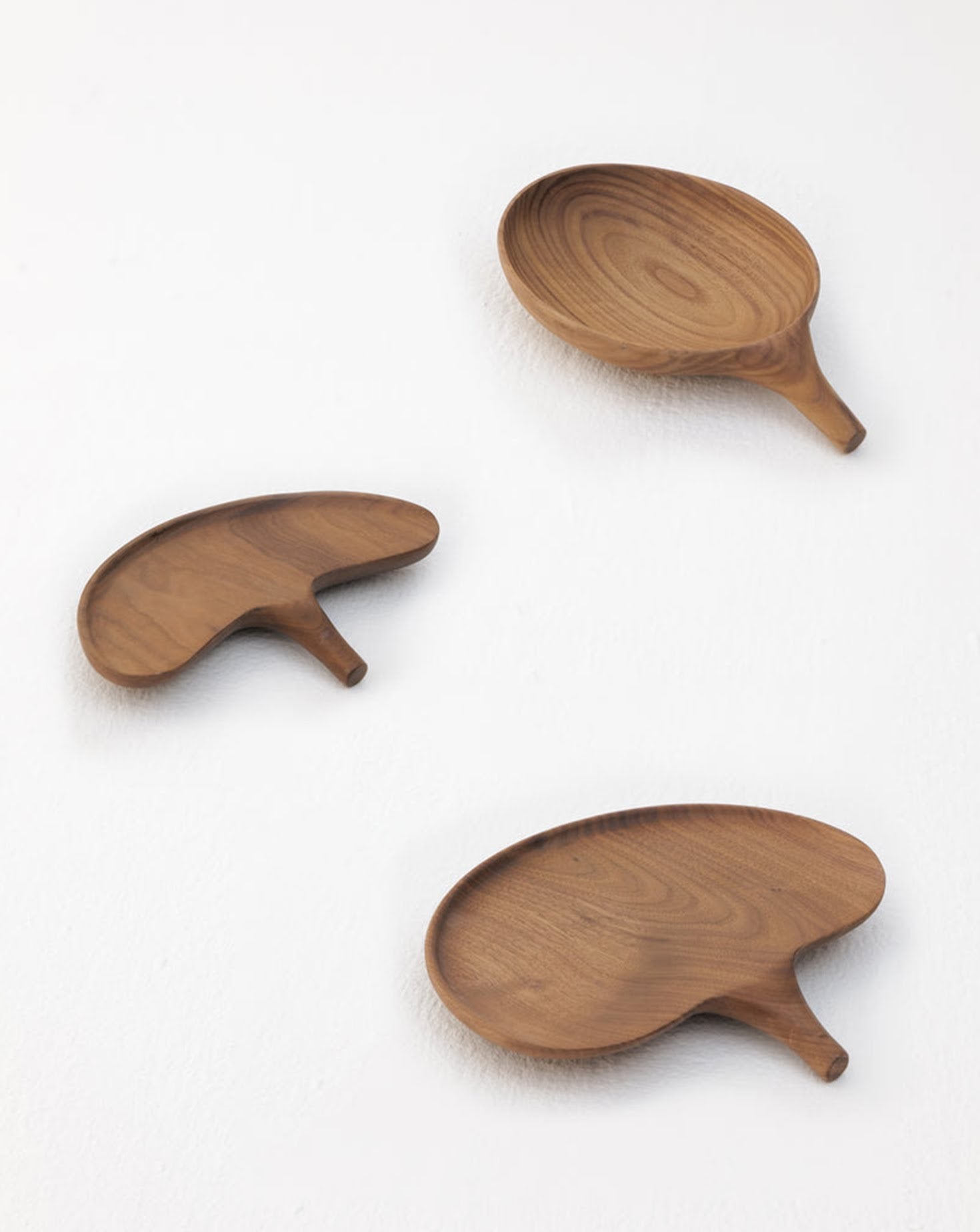 Extension 1 Sprout Solid Wood Full Tray