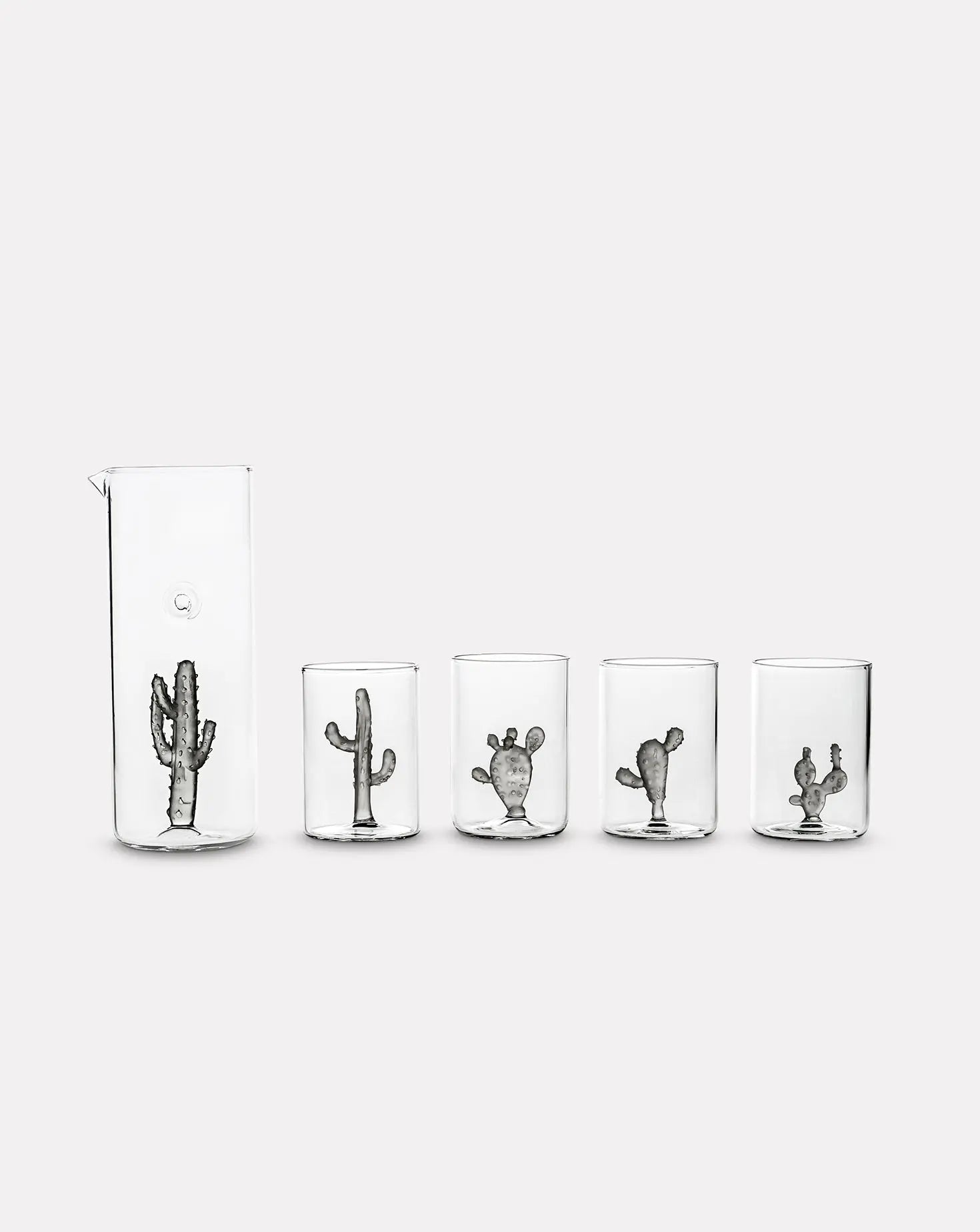 Set of 4 Cactus Grey Glasses and Jug Casarialto