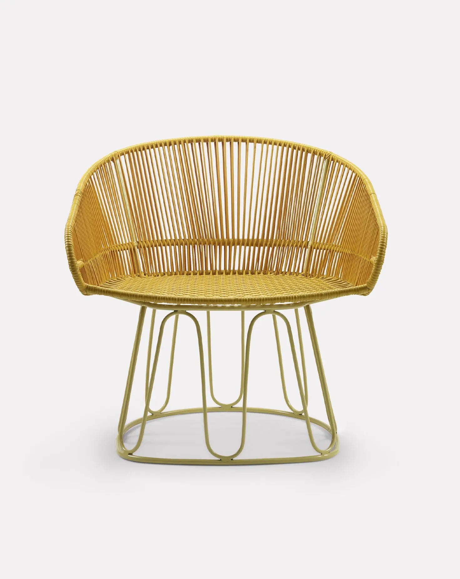 Circo Honey Yellow Lounge Chair Ames Living