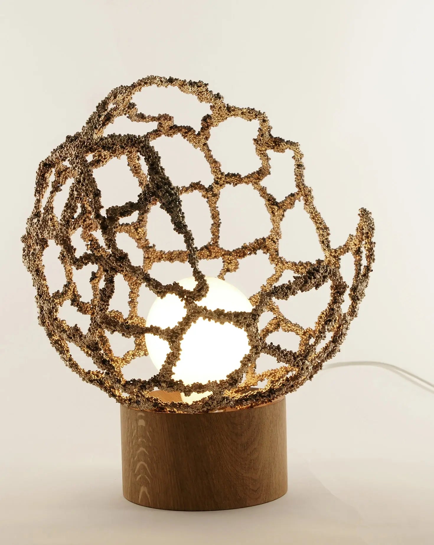 Core Brass and Wood Table Lamp Johannes Hemann