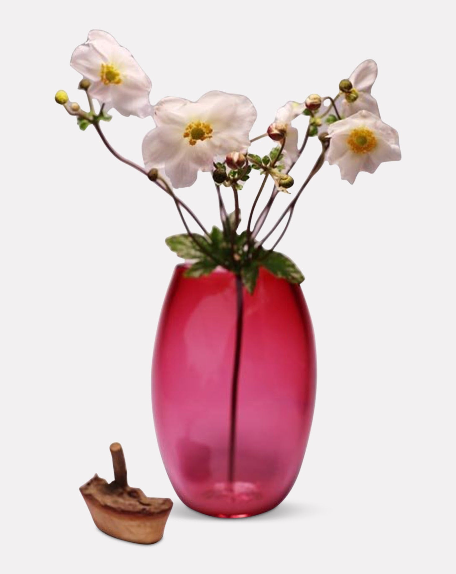 Branch Pink Bowl Tall 1 Utopia & Utility