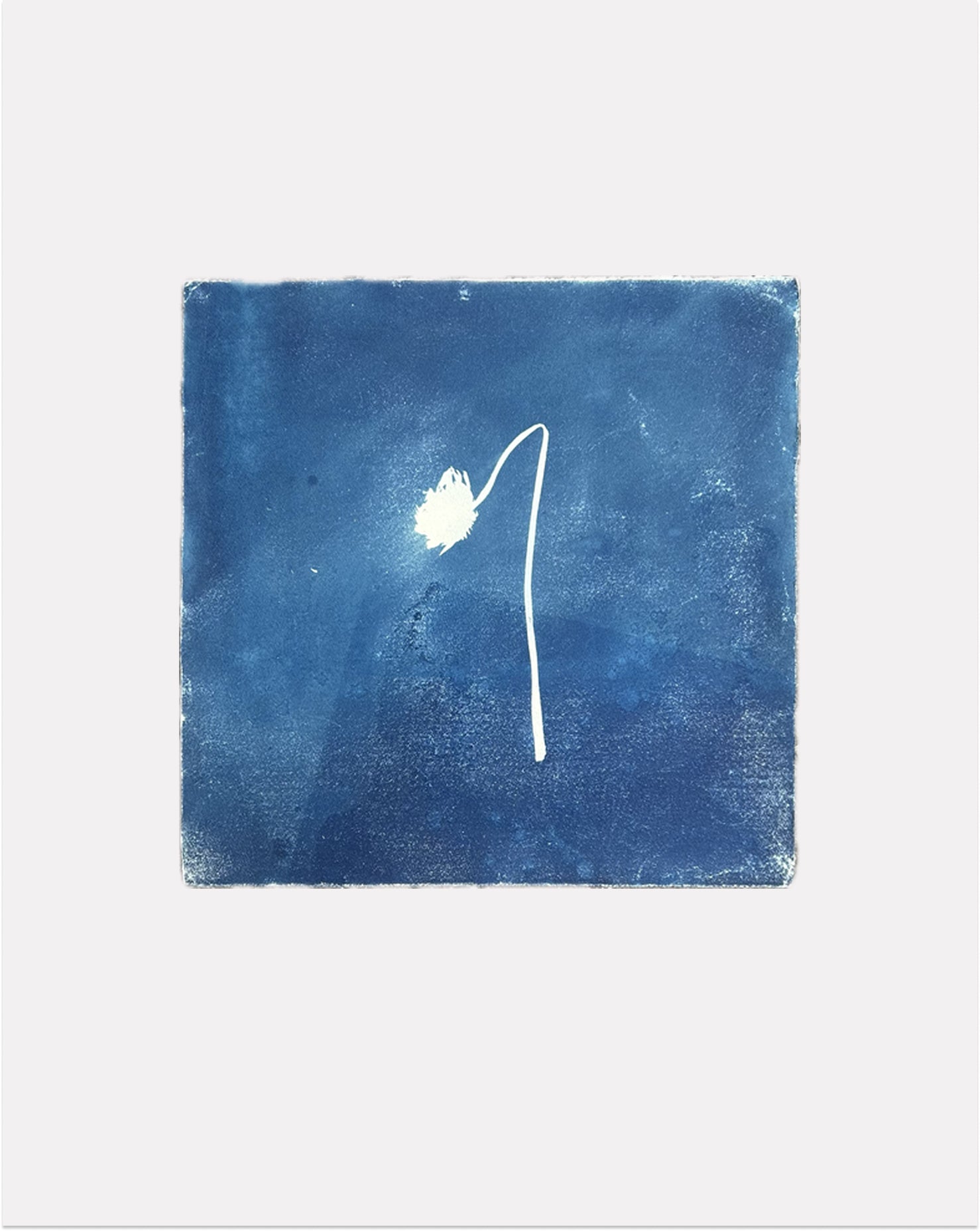 Anne Nowak - 3