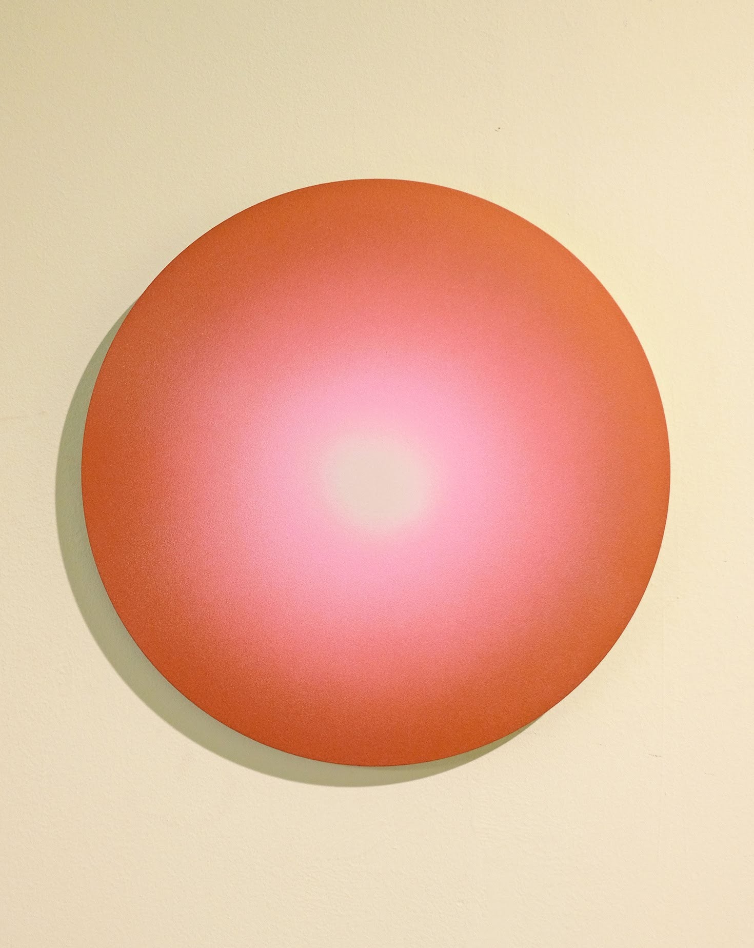 Soft Dot Coral Acrylic Paint Wall Art