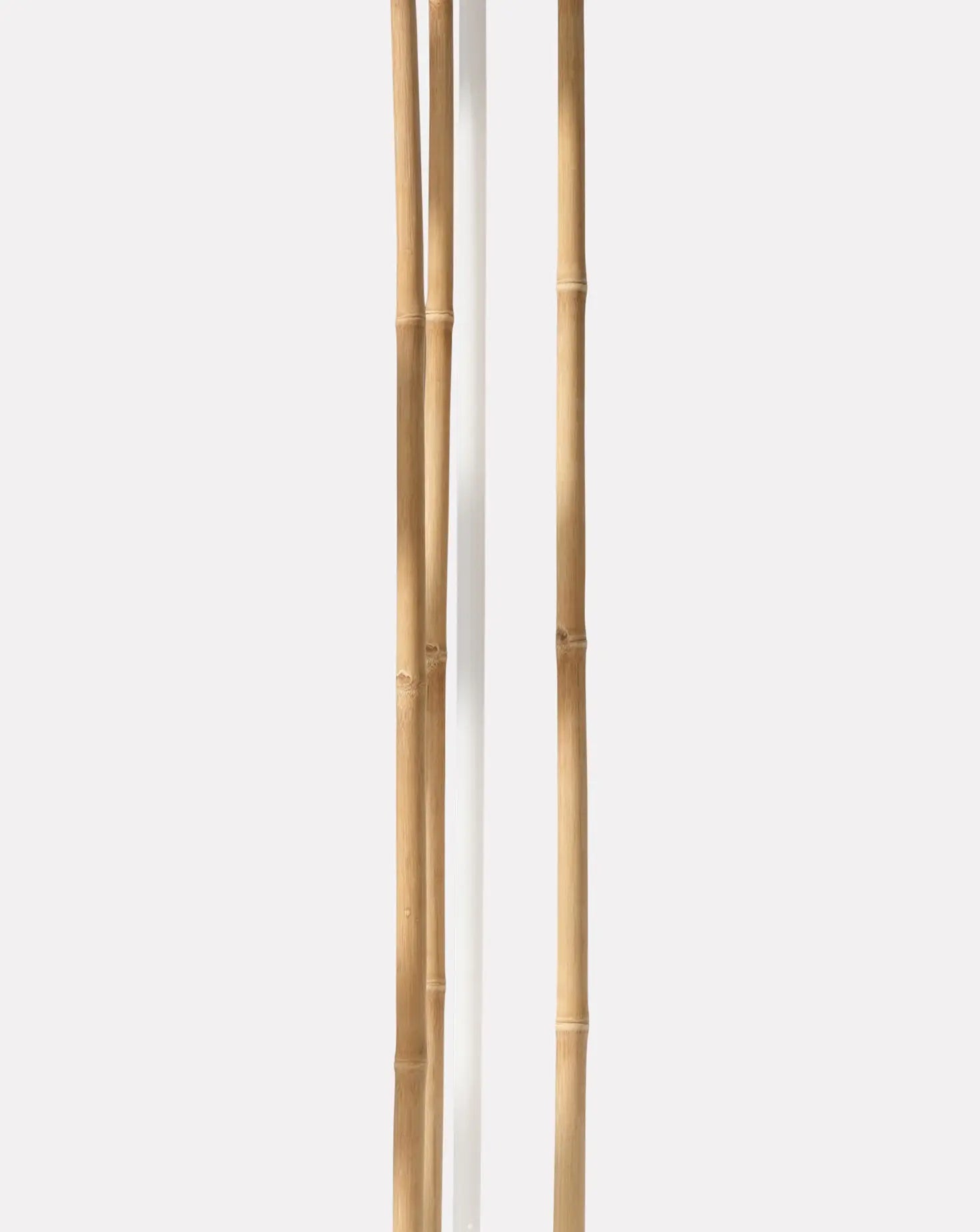 Ta-Ke 3 Floor Lamp Michael Anastassiades