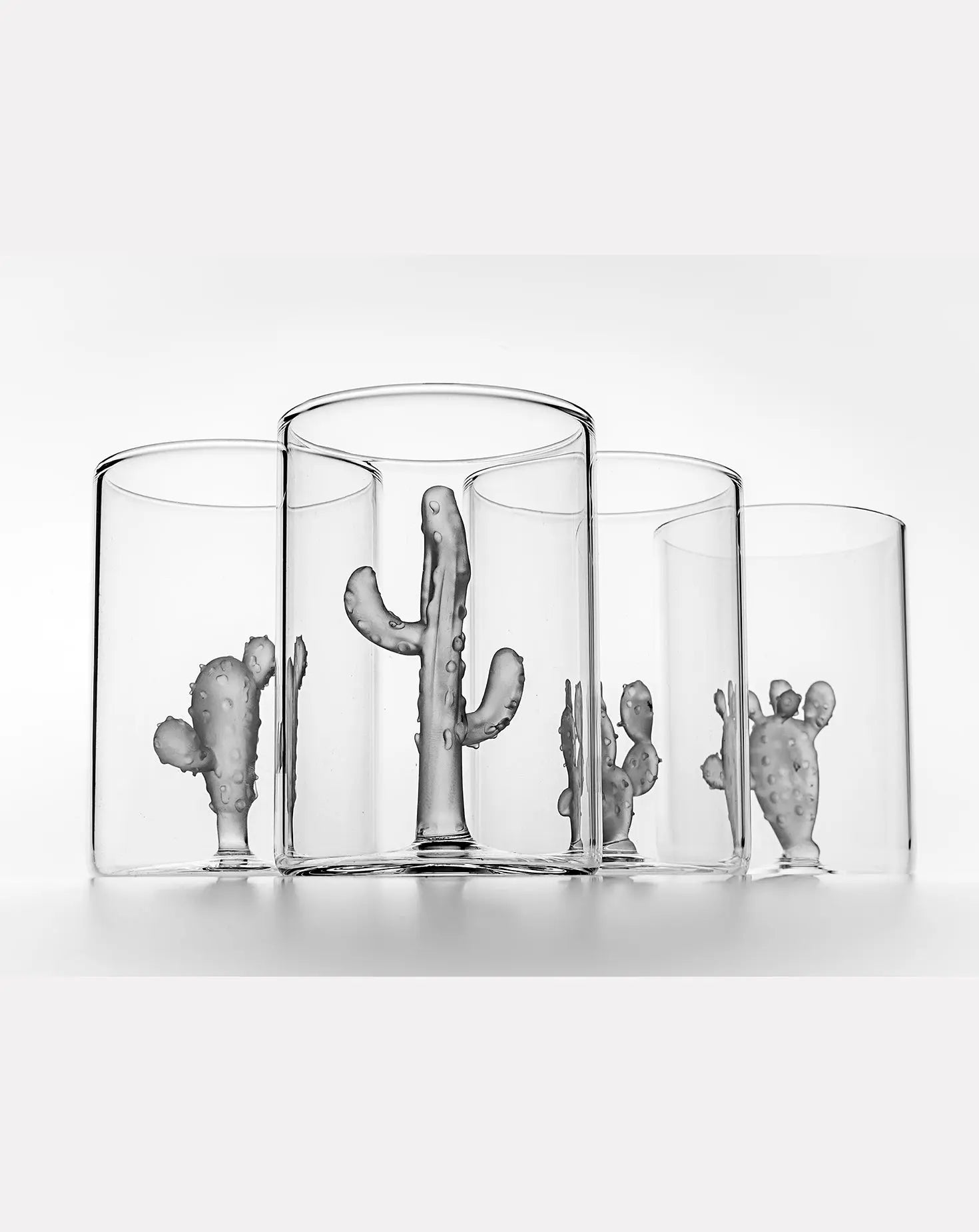 Set of 4 Cactus Grey Glasses and Jug Casarialto