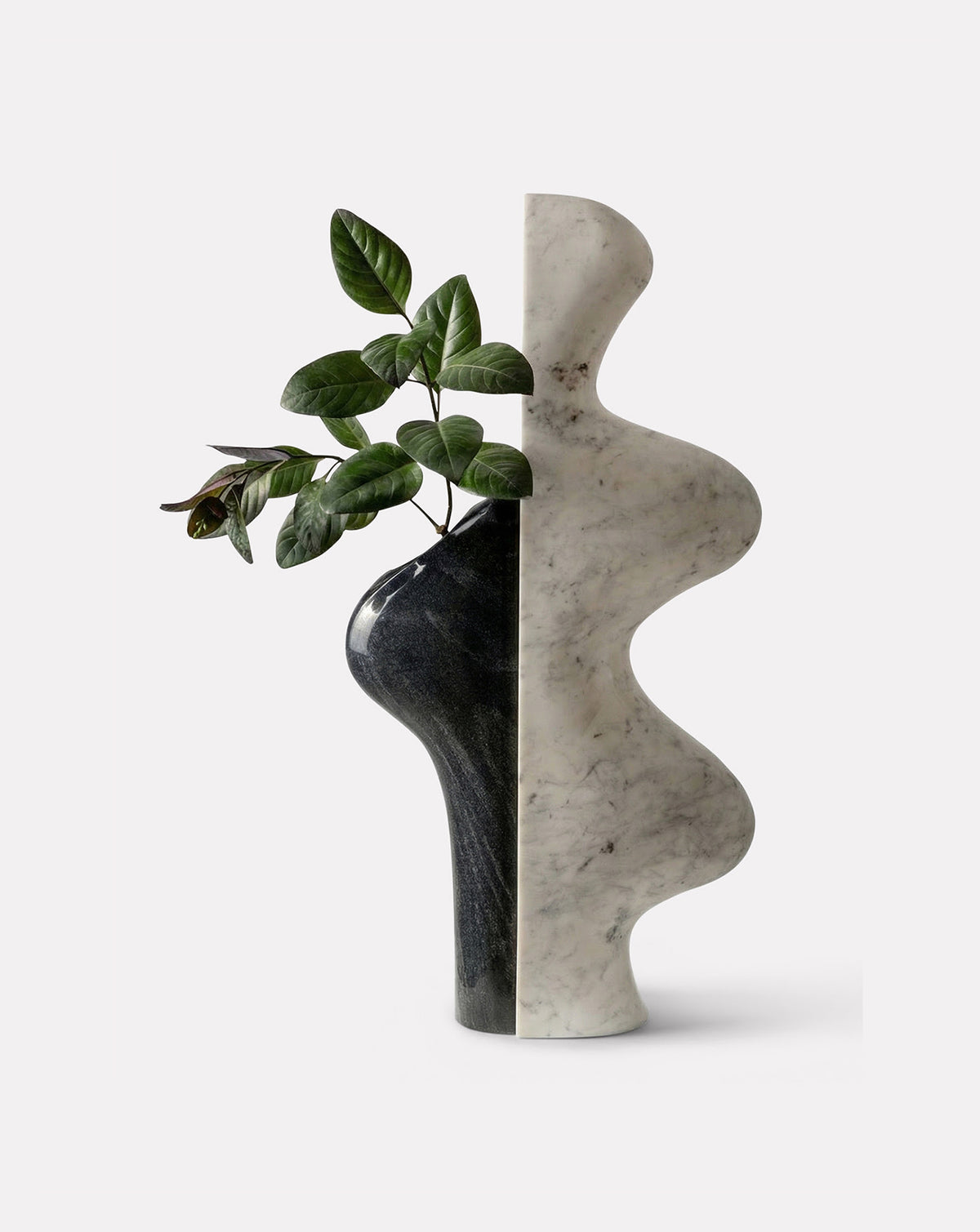 Planted pocket detail turning solid marble into a quiet display for greenery