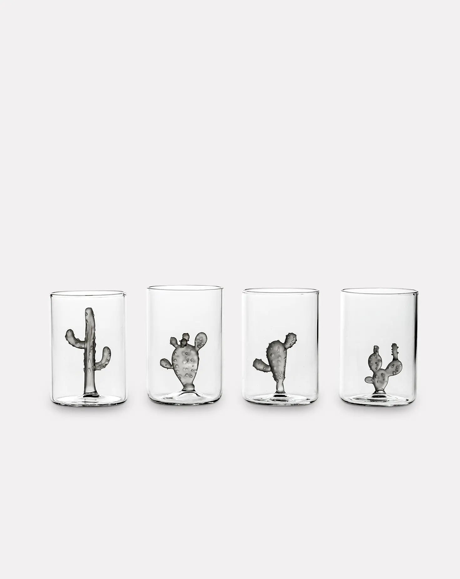 Set of 4 Cactus Grey Glasses and Jug Casarialto